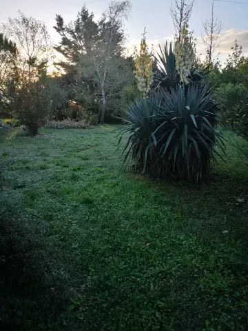 automne antre des vices