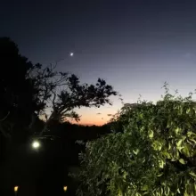 nuit antre des vices